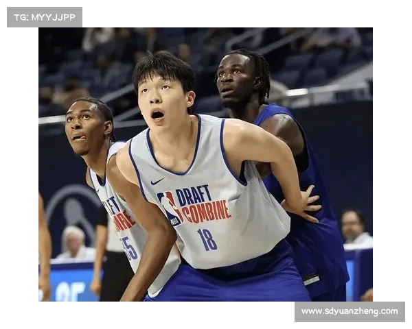 杨瀚森现象揭示中国篮球人才培养体系的深层次问题